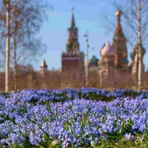 Температура в Москве 3 апреля 2026 года выше 17°?